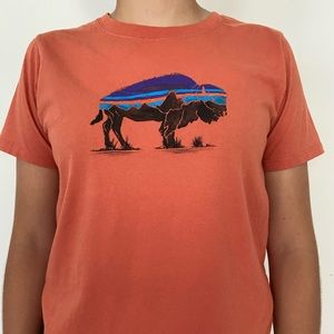 Patagonia t-shirt